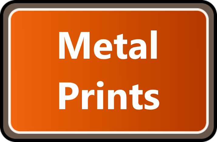 Metal Art Prints